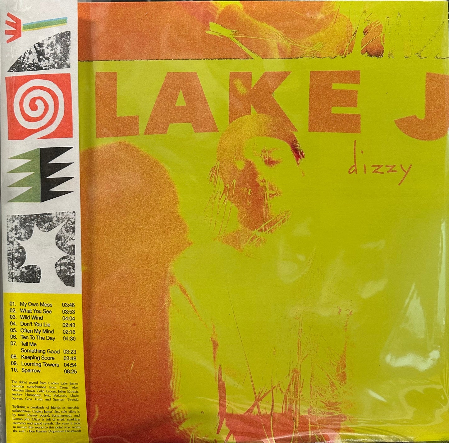 Lake J - Dizzy - New LP Record 2025 Shuga Records Red Splatter Vinyl, Insert, OBI & Numbered - Chicago Alternative Rock / Indie Rock / Twin Peaks Member -vinylsuk