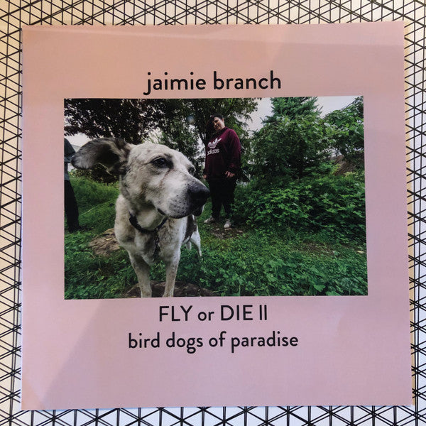 Jaimie Branch - Fly Or Die II - Mint- LP Record 2019 International Anthem USA Vinyl & Booklet - Chicago Jazz -vinylsuk