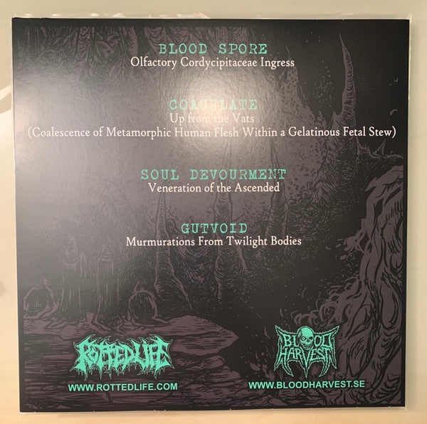 Blood Spore / Coagulate / Soul Devourment / Gutvoid - 4 Dimensions Of Auditory Terror - New LP Record 2021 Rotted Life Blood Harvest Clear With Glow In The Dark Splatter Vinyl & Insert (150 Made) - Death Metal -vinylsuk