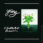 Yung - A Youthful Dream - New Lp Record 2016 Fat Possum USA Vinyl & Download - Rock / Punk -vinylsuk