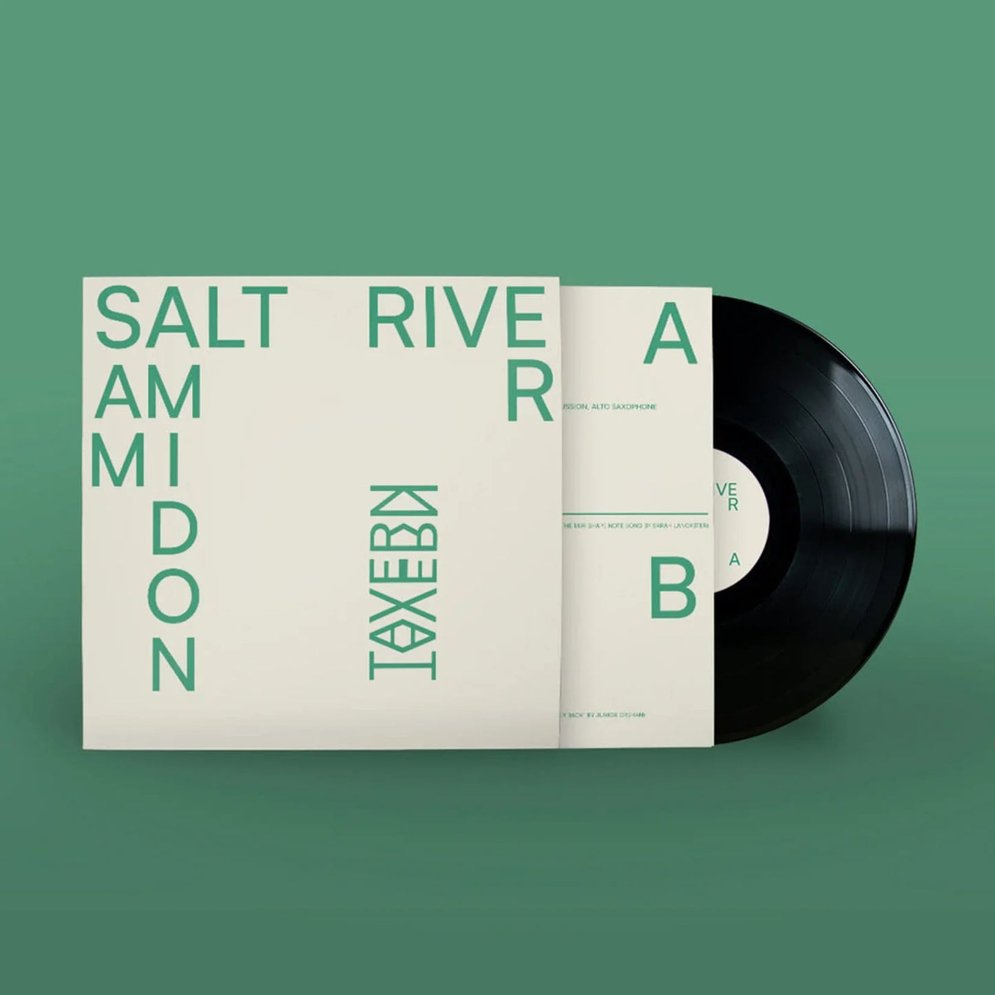 Sam Amidon - Salt River - New LP Record 2025 River Lea Vinyl - Folk -vinylsuk